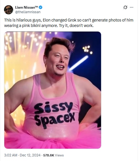 Alan Musk Bikini Refusal